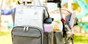 3 best dog stroller accessories