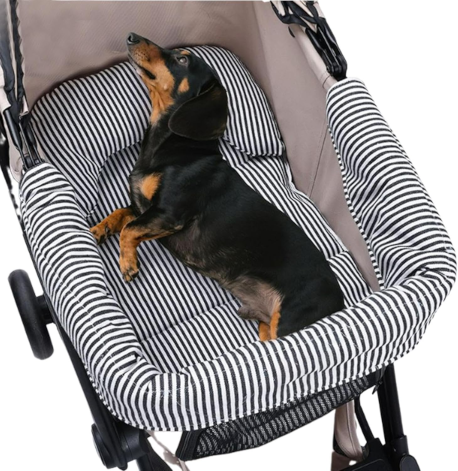 Generic cushion for dog stroller